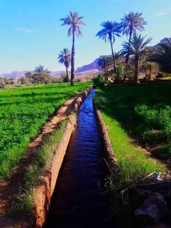 Defat Kasbah Hotel Ait Benhaddou Ngoại thất bức ảnh